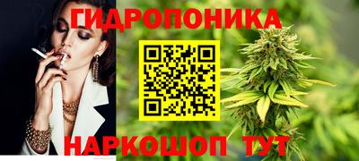 прущие крисы Заводоуковск
