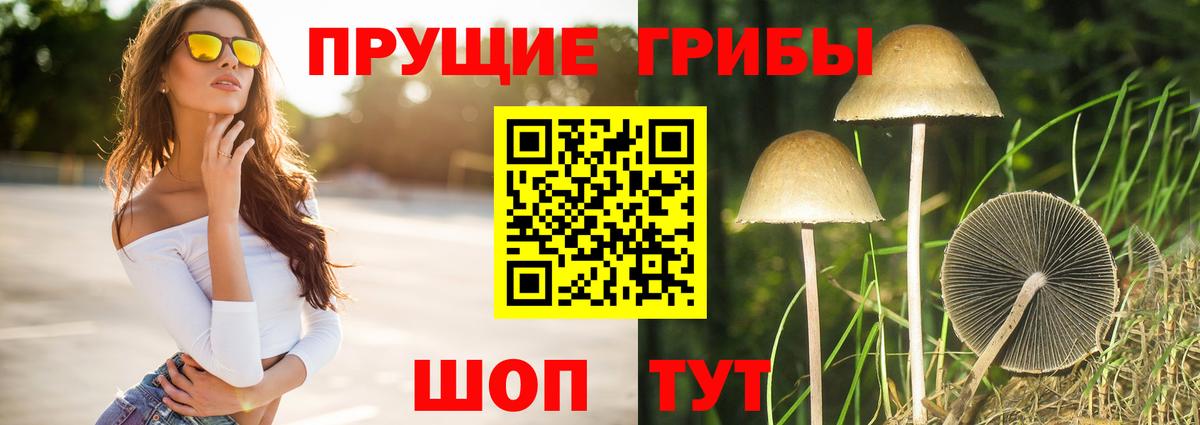 Галлюциногенные грибы прущие грибы  Галлюциногенные грибы Psilocybine cubensis  Вход с VPN  Люберцы 