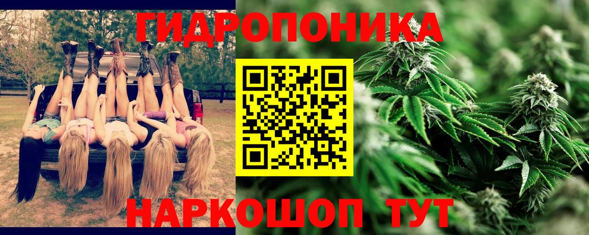 Люберцы  Конопля White Widow  Шишки марихуана OG Kush  Марихуана тримм  Вход с VPN 